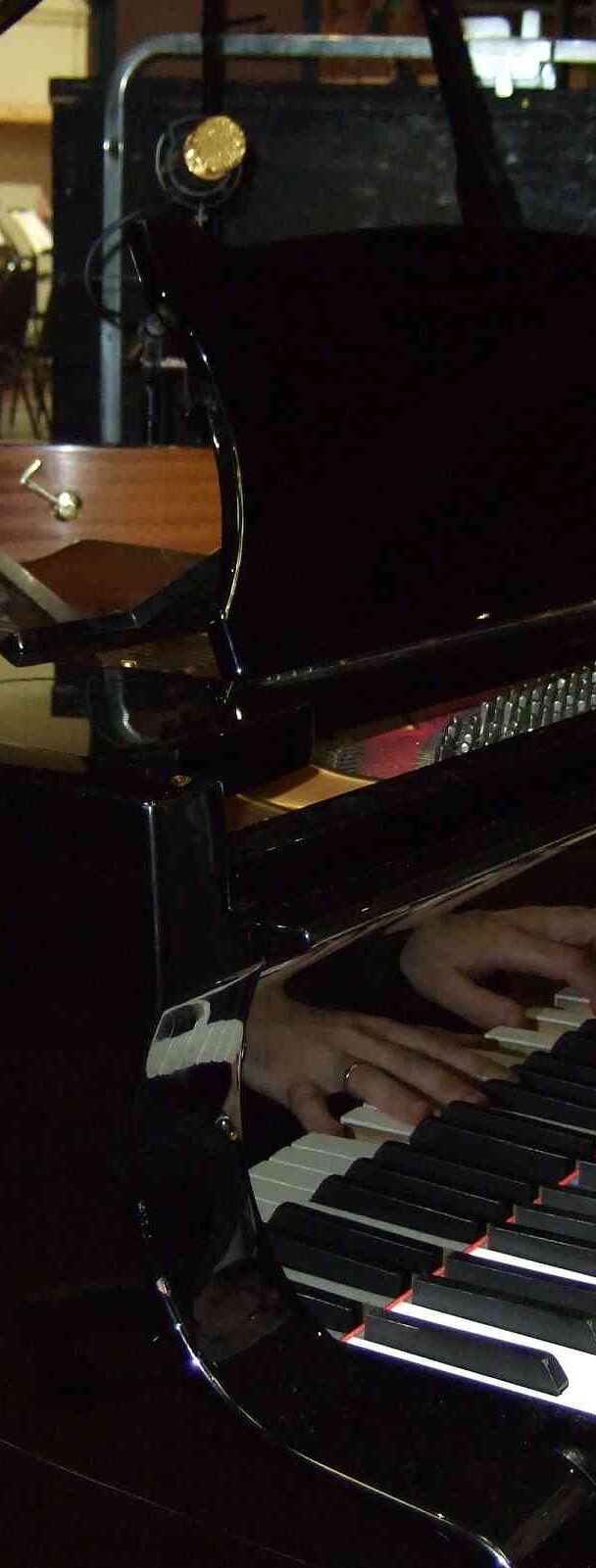 Chris at the Steinway D
